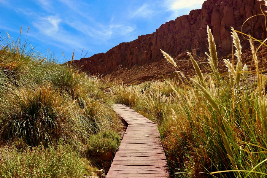 Puritama Hot Springs