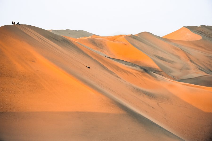Sand Boarding on the Dunes